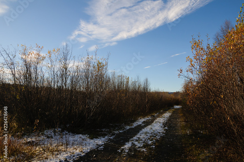 Autumn landscape