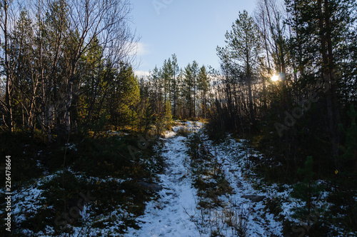 Autumn landscape
