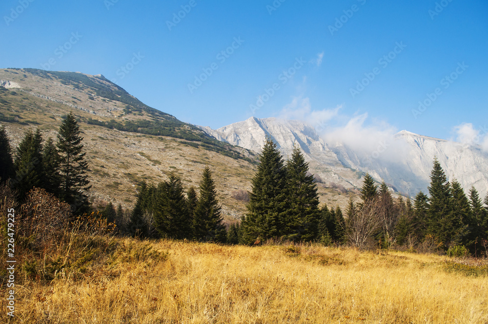 Mountain landscape in autumn, yellow grass and trees, peak in clouds in distance.