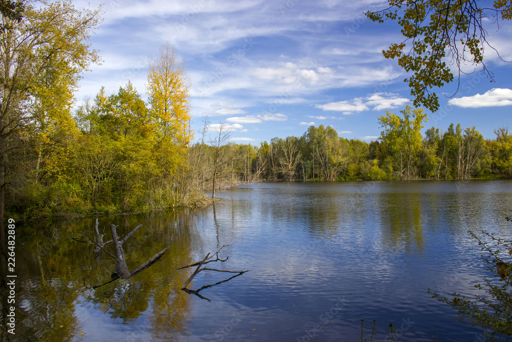 Fototapeta premium nature reserve Bislicher Insel, Lower Rhine Region, Germany