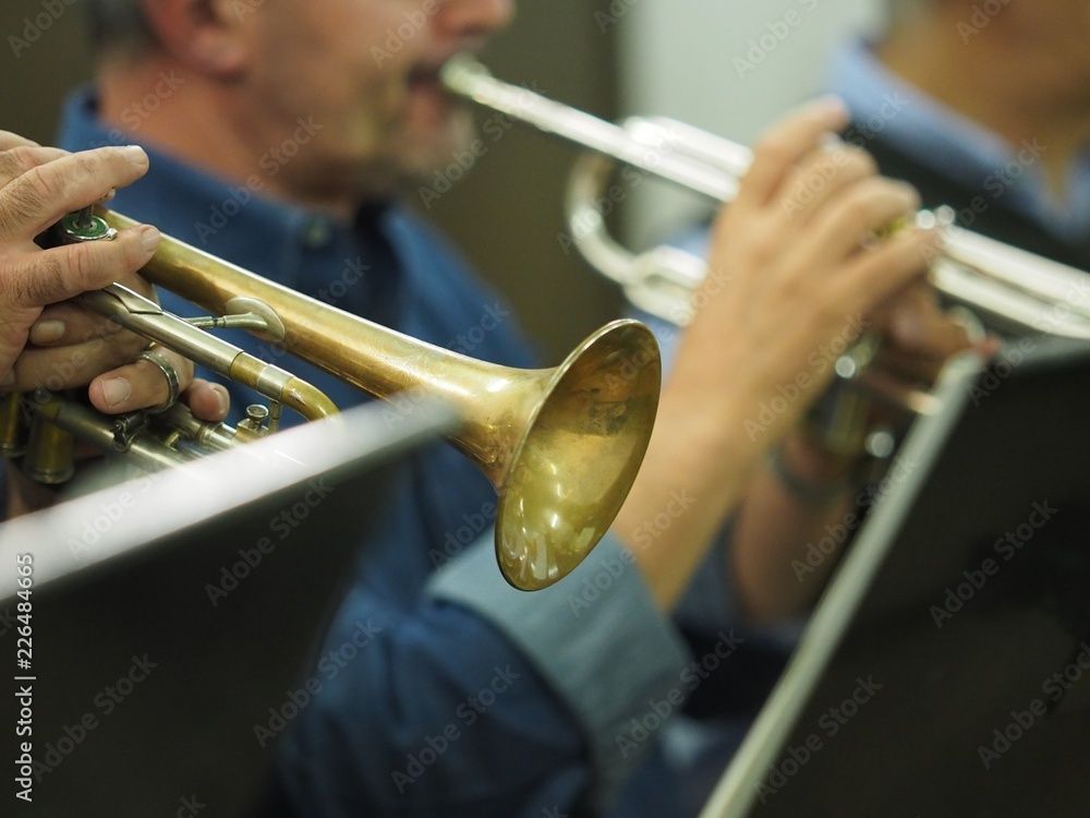 Obraz premium Trumpet player.