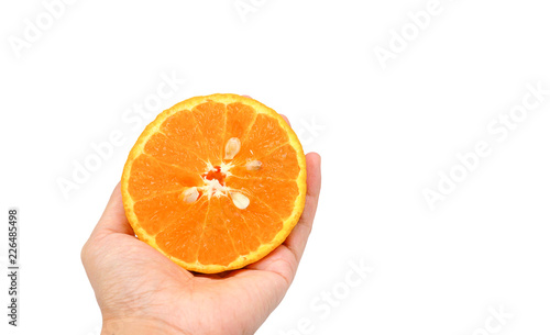 citrus orange fruit in the hand on white background