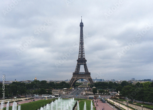 eiffel tower in paris © Mariya