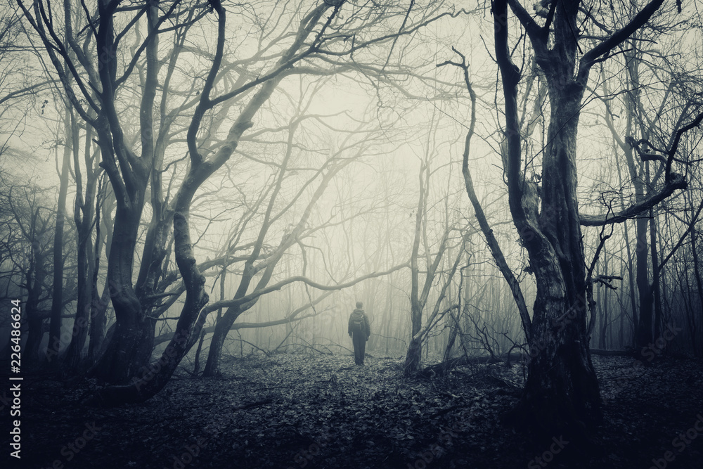 man in scary halloween forest, dark fantasy landscape