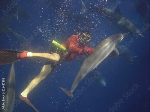 Dolphin Swim © Oliver