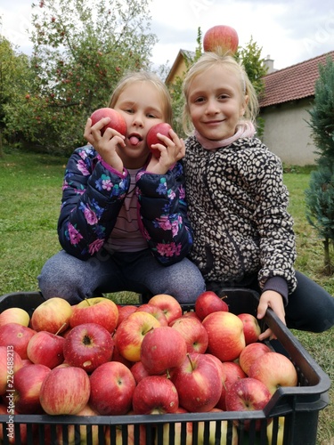 deaux filles récolte de pommes photo