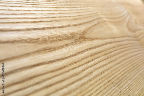 wood texture ash