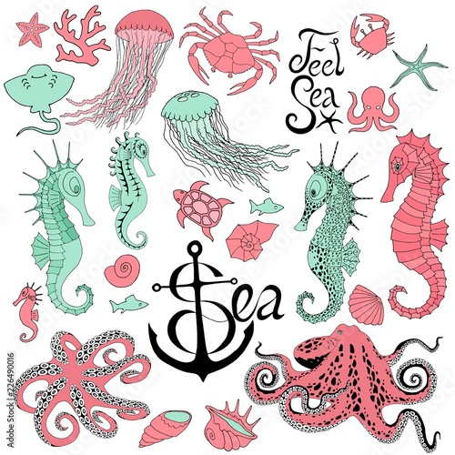 seahorses with jellyfish, octopus, crab and other