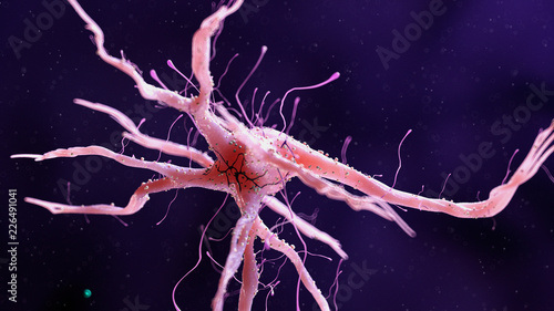 3d rendered medically accurate illustration of a human nerve cell