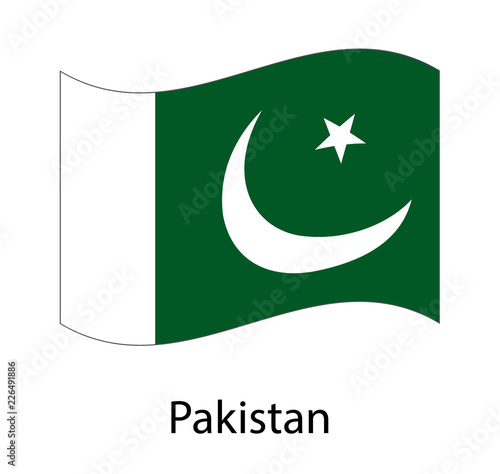 National flag of Pakistan isolated on gray background. Realistic flag waving in the Wind.