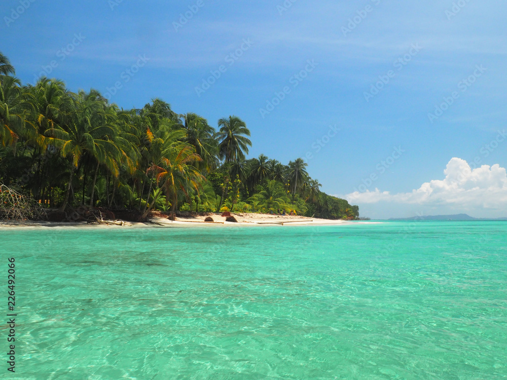 Fototapeta premium Island Cayo Zapatilla in Bocas del Toro, Panama