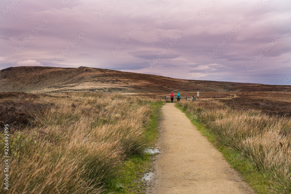 Boulders, Hoper Woodlands Moor, Peak District National Park, United Kingdom