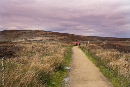Obraz na płótnie Boulders, Hoper Woodlands Moor, Peak District National Park, United Kingdom w salonie