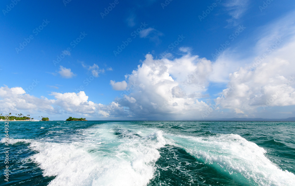 Fototapeta premium Karibik und Meer pur: Antillen, Mittelamerika, Ferien, Tourismus, Sommer, Sonne, Strand, Auszeit, Meer, Glück, Entspannung: Traumurlaub an einem einsamen, karibischen Strand :)