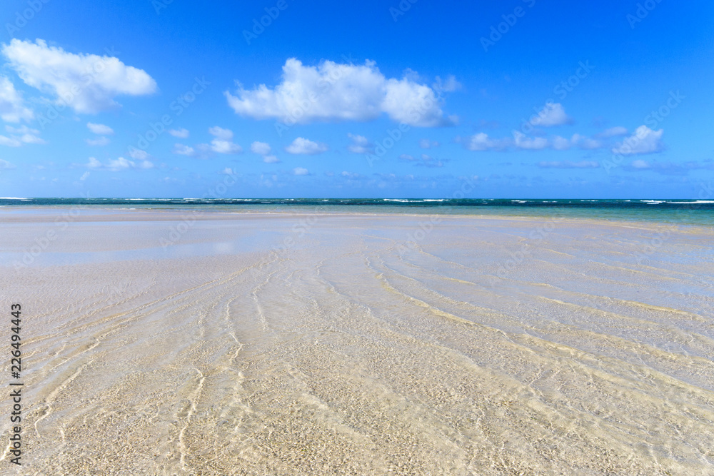 Obraz premium Karibik pur: Ferien, Tourismus, Sommer, Sonne, Strand, Auszeit, Meer, Glück, glitzernde Wasseroberfläche, Entspannung, Meditation: Traumurlaub an einem einsamen, karibischen Strand :)