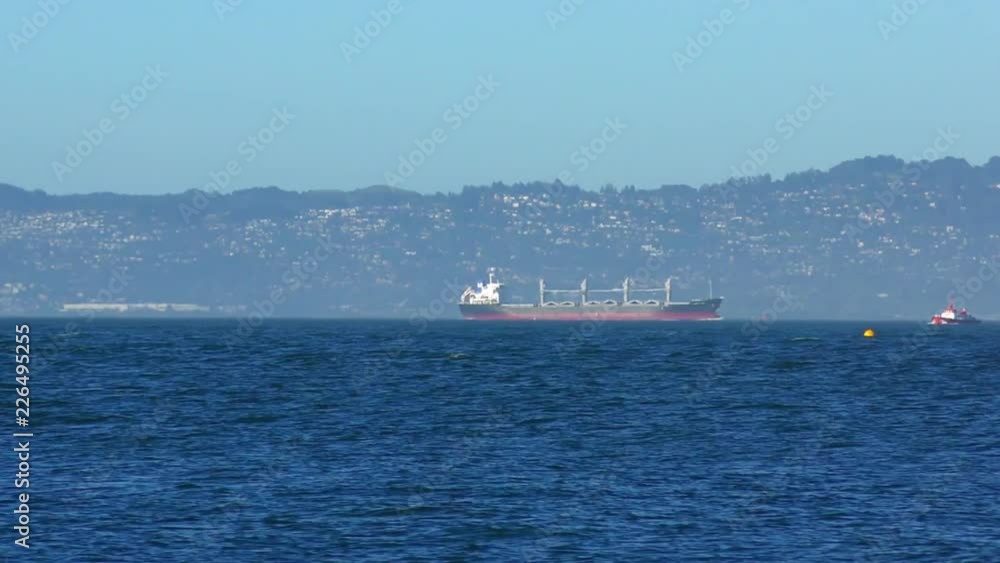 View from Chrissy Field in San Francisco, California, USA. View from Chrissy Field in San Francisco, California, USA.