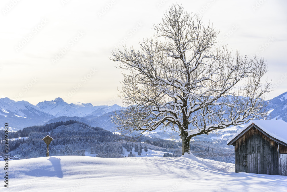 Feldkreuz und Heustadl im verschneiten Allgäu Feldkreuz und Heustadl im verschneiten Allgäu