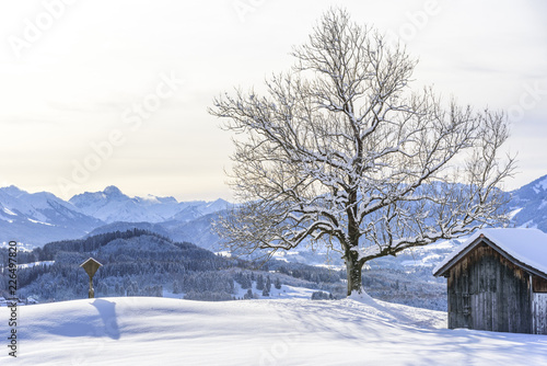 Feldkreuz und Heustadl im verschneiten Allgäu © ARochau
