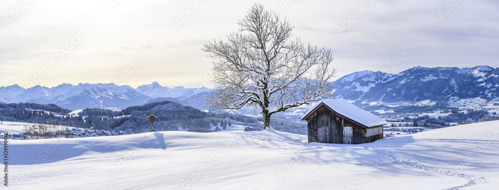 Fototapeta premium Winterpanorama im Oberallgäu