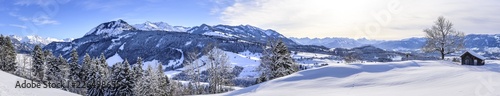 Ausblick auf die Allg  uer Alpen im Winter