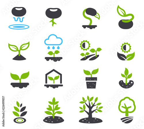 Evolution of seeds to a big trees(icon concept). Environment that affect a growth of plant.