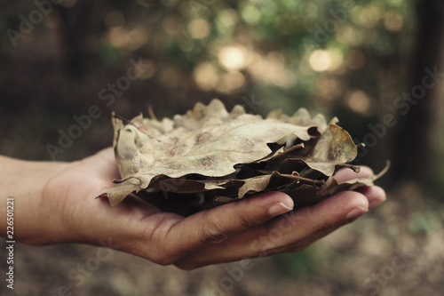 man with dry leaves in his hand