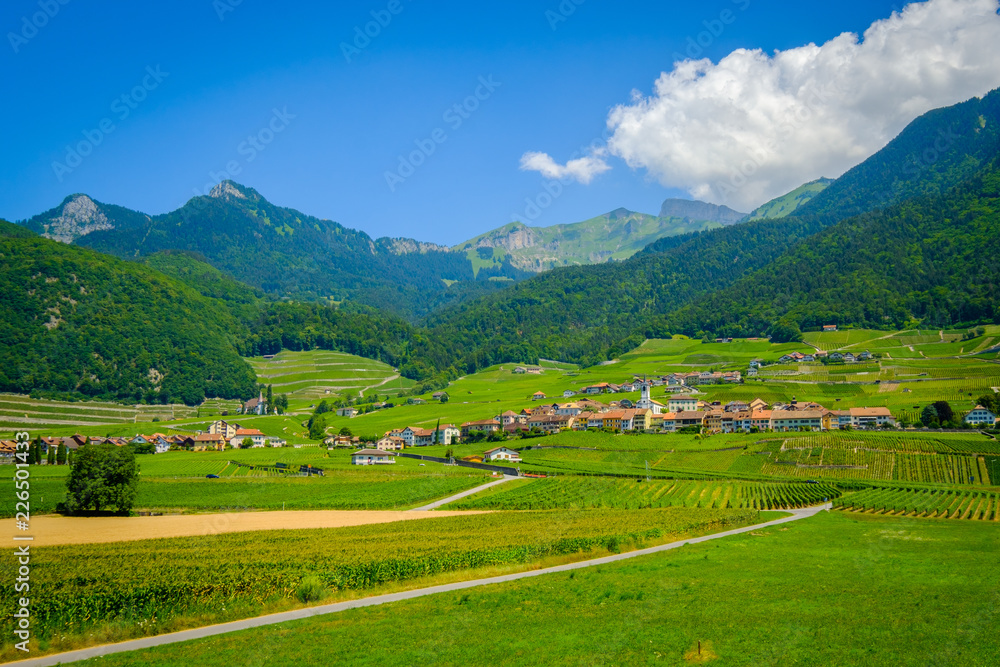 Summer Switzerland valley landscape with vineyards at foreground near Aigle Summer Switzerland valley landscape with vineyards at foreground near Aigle
