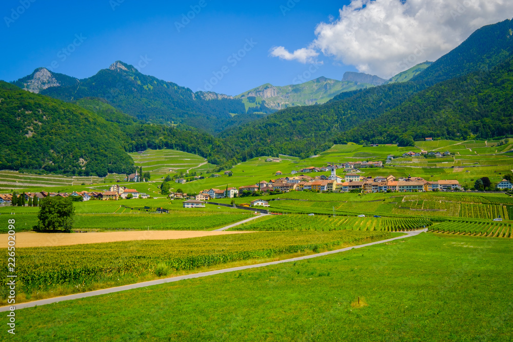 Summer Switzerland valley landscape with vineyards at foreground near Aigle