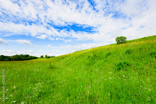 green meadow sky