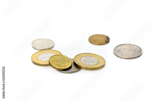 Different Polish Zloty and grosz coins isolated on white background.