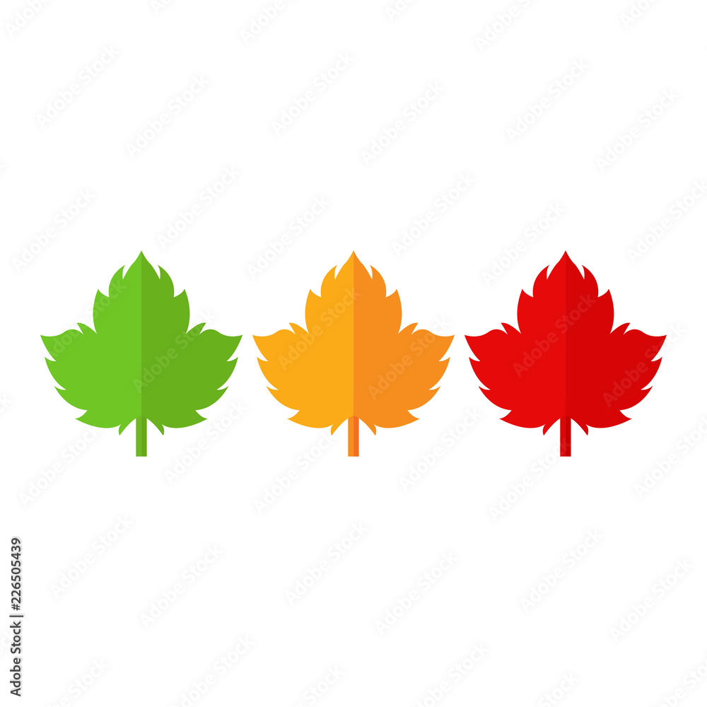 Fototapeta premium Leaves, set, green, yellow and red. Vector illustration.