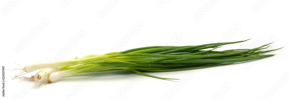 spring onion on white background. spring onion on white background.