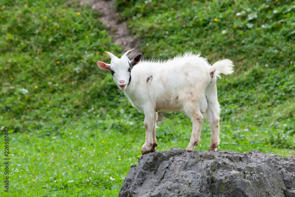 Obraz premium on the Top