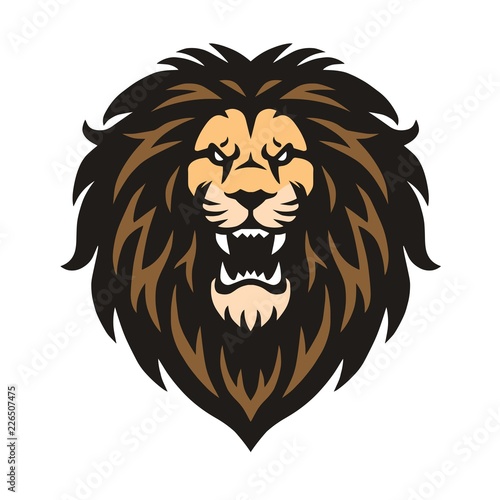 Mad Lion Vector