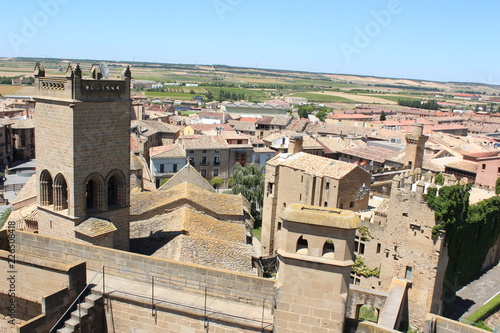Olite and Pamplona in Navarra