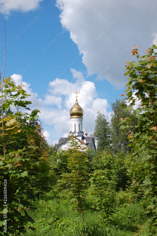 orthodox church in forest