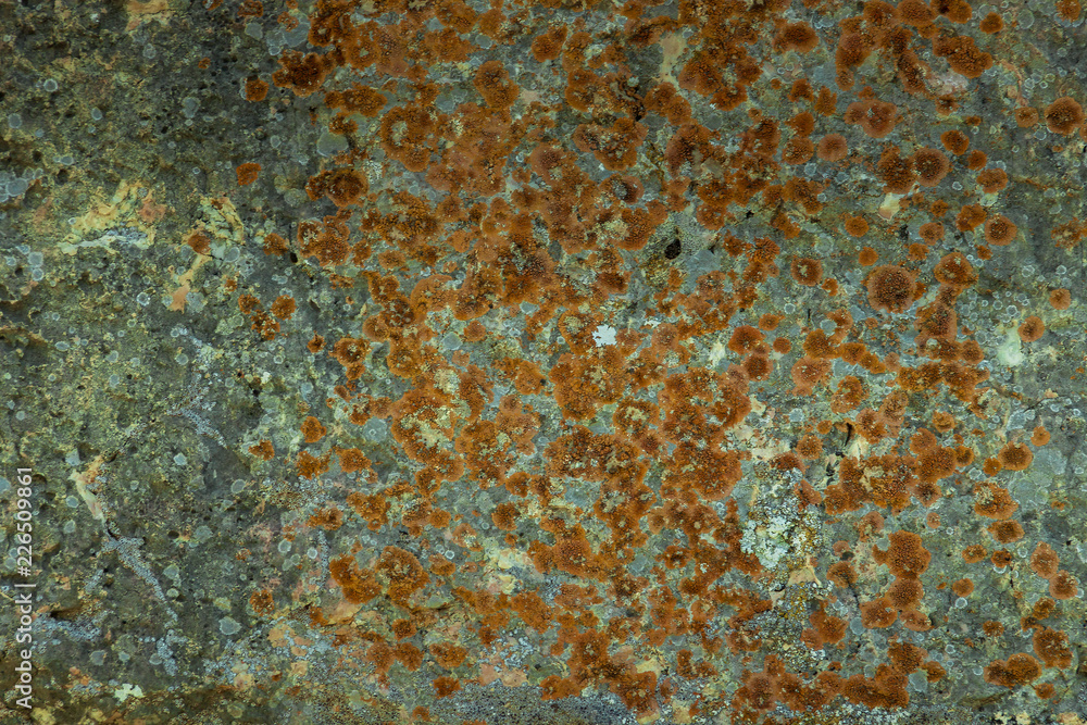 Close up of mountain rocks texture background Close up of mountain rocks texture background