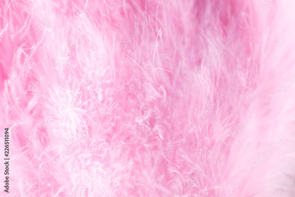 Macro shot of pink bird fluffy feathers in soft and blur style