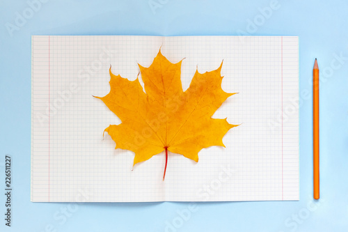 Open notebook, pencil, yellow autumn maple leaf on blue background top view flat lay. Сoncept of study, autumn working table