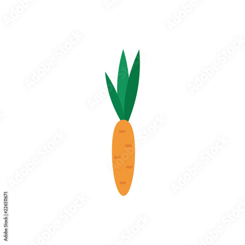 Carrot icon, vector illustration. photo