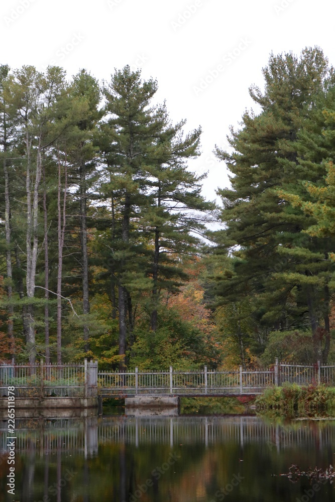 Fototapeta premium Fall Reflection II