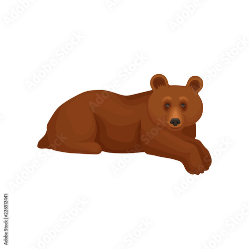 Cute big bear lying isolated on white background. Cartoon character of wild forest animal with brown fur. Flat vector icon