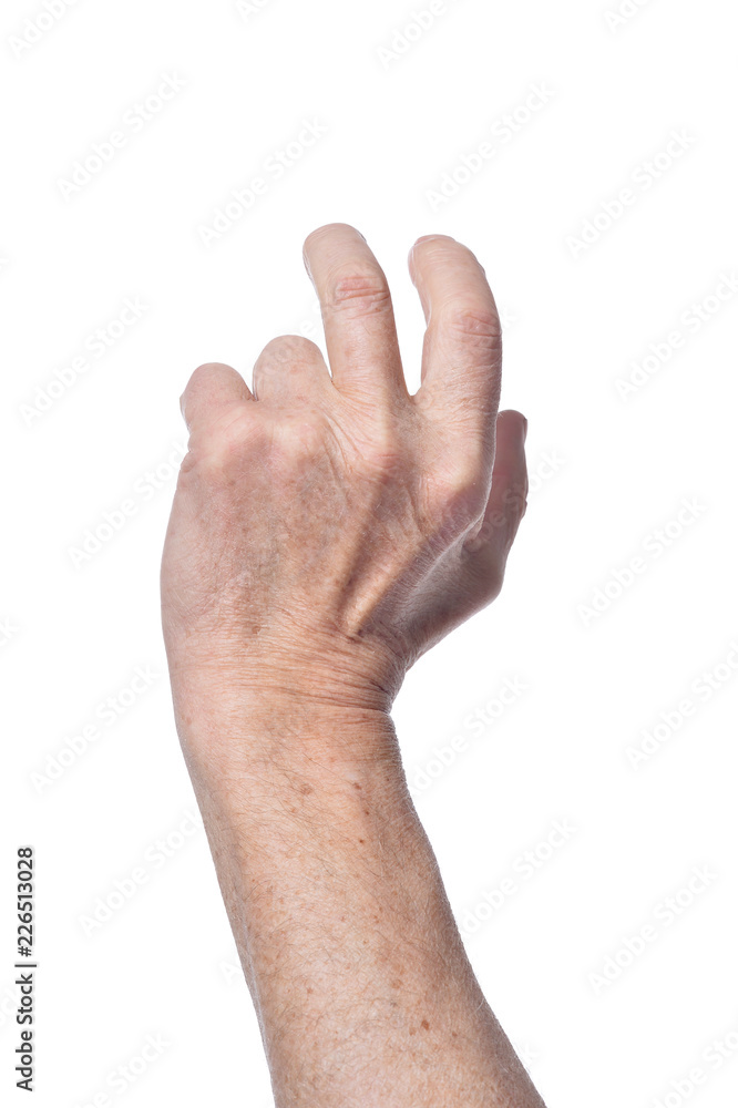 Hand of senior woman on white background Hand of senior woman on white background