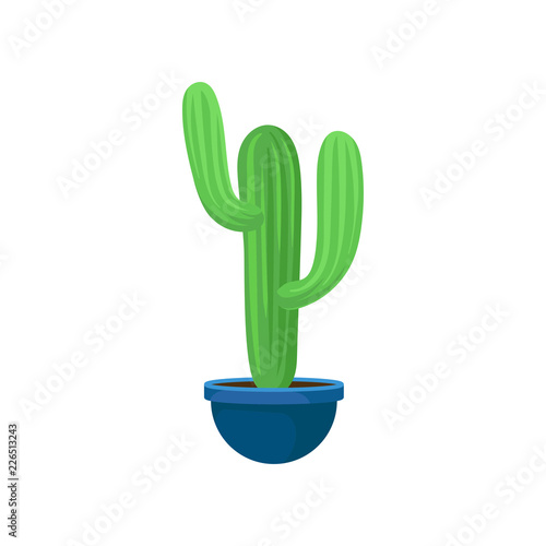 Flat vector icon of big green cactus. Decorative houseplant in blue ceramic pot. Natural element for office or home interior