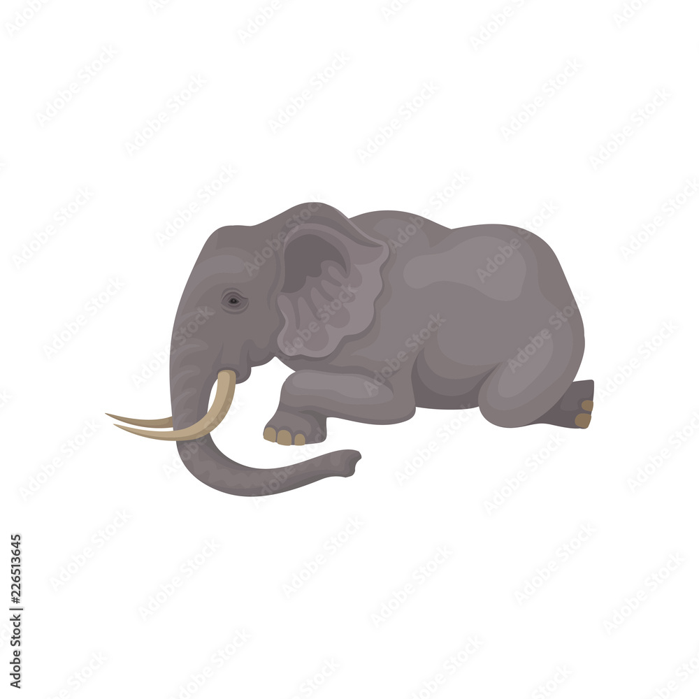 Flat vector icon of big gray elephant lying isolated on white background.  Wild animal with large ears, long trunk and tusks Stock Vector | Adobe Stock