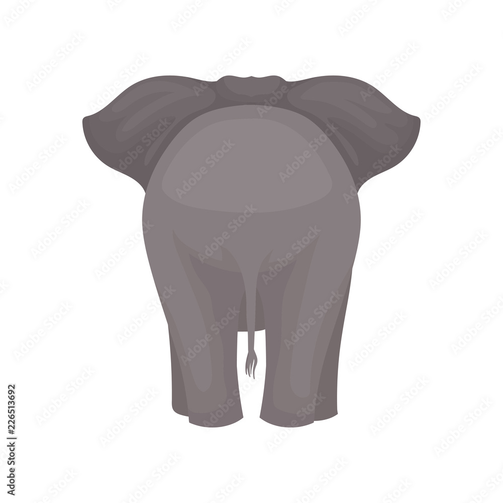 Premium Photo  A white elephant with a large white tail