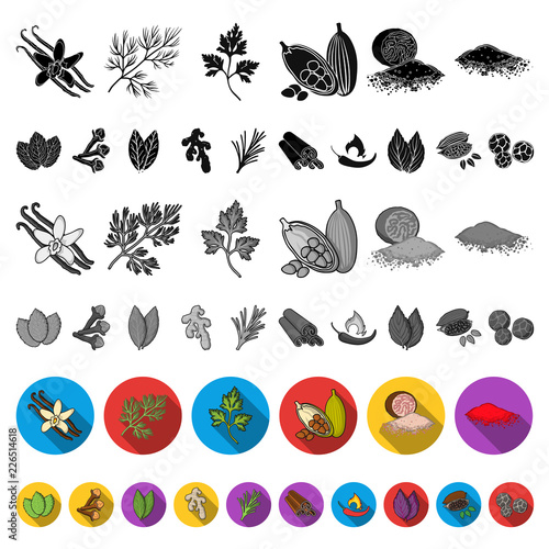 Herb and spices flat icons in set collection for design.Different kinds of seasonings vector symbol stock web illustration.