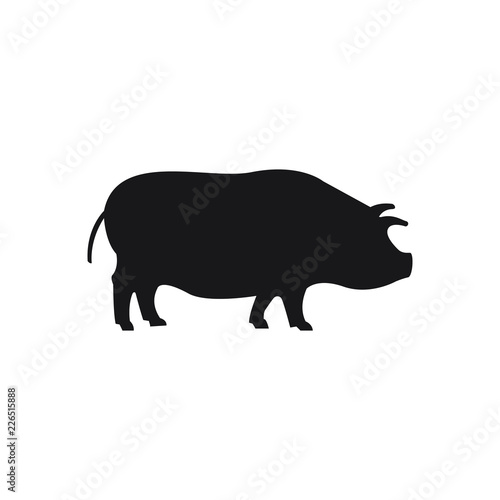 Pig black sihouette on the white background