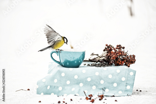 A bird of the tit with wings in flight on a blue cup has grains in the winter park. Vintage 