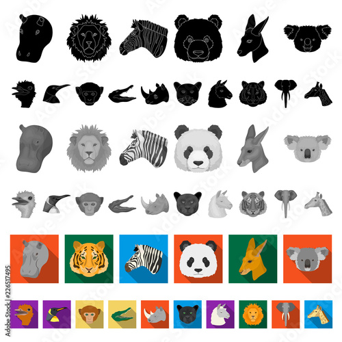 Wild animal flat icons in set collection for design. Mammal and bird vector symbol stock web illustration. photo